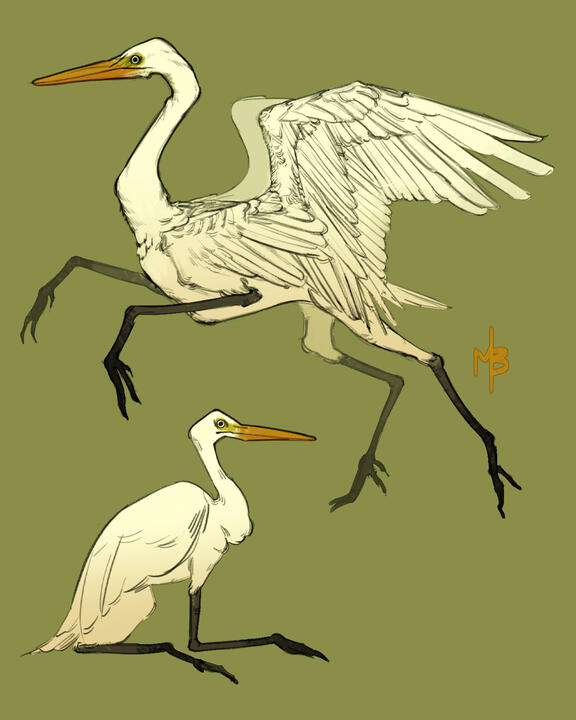 Crane Griffins Crane Griffins